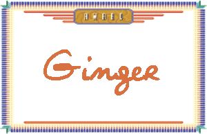 GingerдӢ
