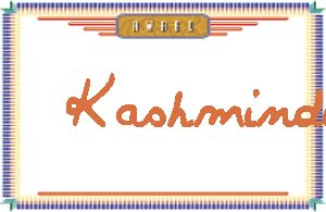 KashminderдӢ