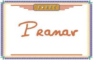 PranavдӢ