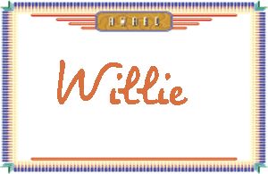 Willie的手写英文
