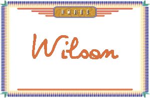 WilsonдӢ